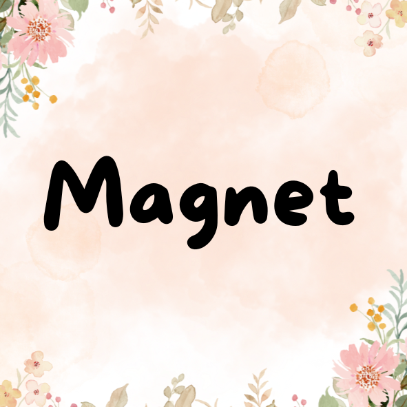 Magnet