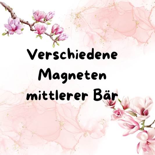 Magnet mittlere Bären