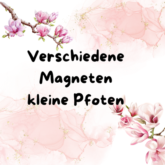 Magnet kleine Pfoten