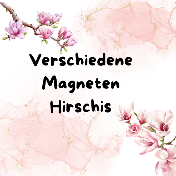 Magnet Hirschi